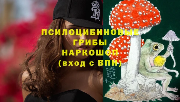 эйфоретик Алексеевка