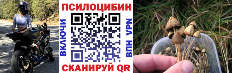 Галлюциногенные грибы Magic Shrooms  как найти закладки  Рубцовск 